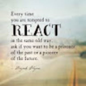 Meet your Posher, Norma